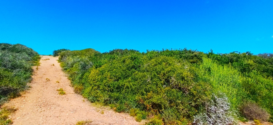 Commercial Property for Sale in Moquini Coastal Estate Western Cape
